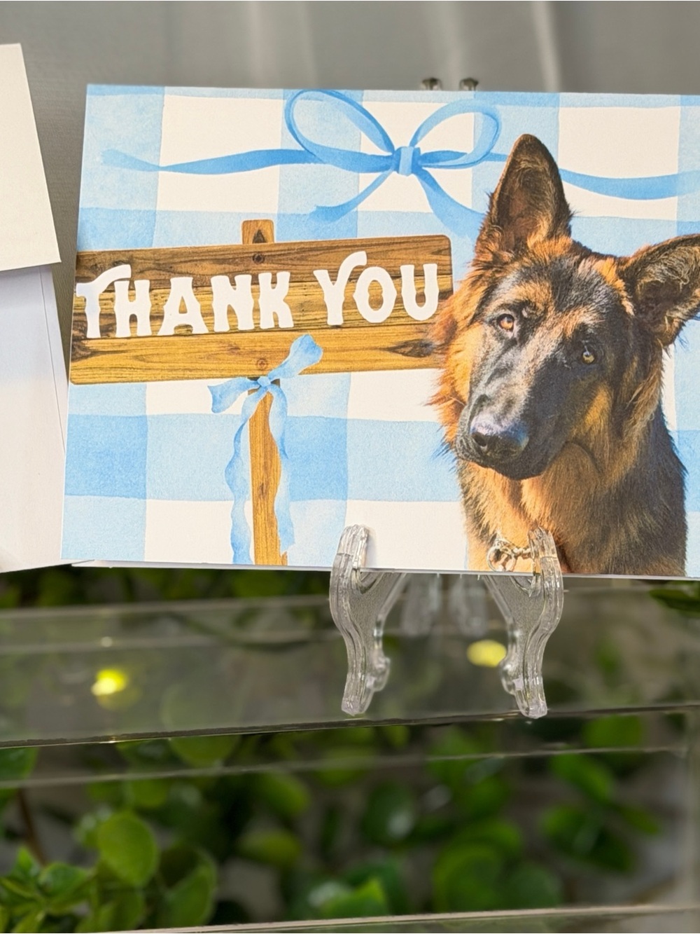 German Shepherd Thank You Cards Set of 15 with Envelopes 4x6 Blue Plaid